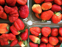 How to Eat Organic and Change Your Life