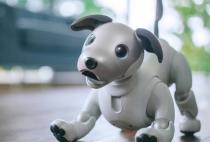 Super Smart Robot Dog from Sony Returning to the US